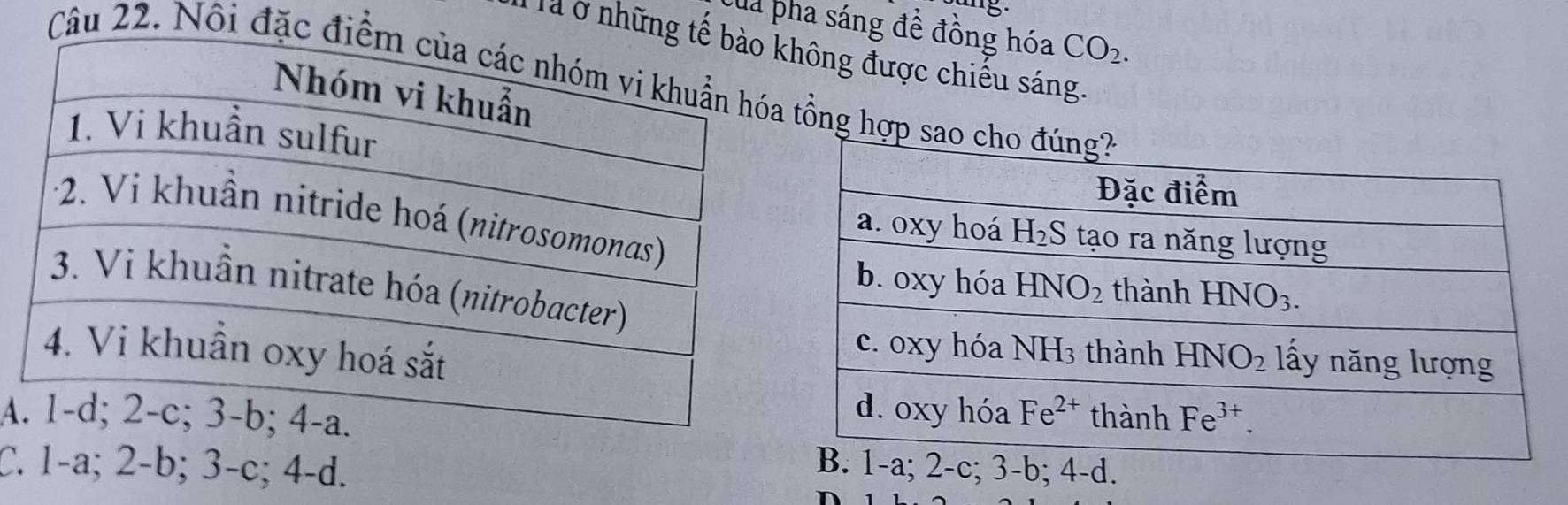 '8
Của pha sáng đề đồng hóa CO_2.
Tlà ở những ông được chiếu sáng.
Câu 22. Nội đặc đổng hợp
A
C. 1-a; 2-b; 3-c; 4-d.
-d.