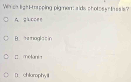 Which light-trapping pigment aids photosynthesis?
A. glucose
B. hemoglobin
C. melanin
D、chlorophyll