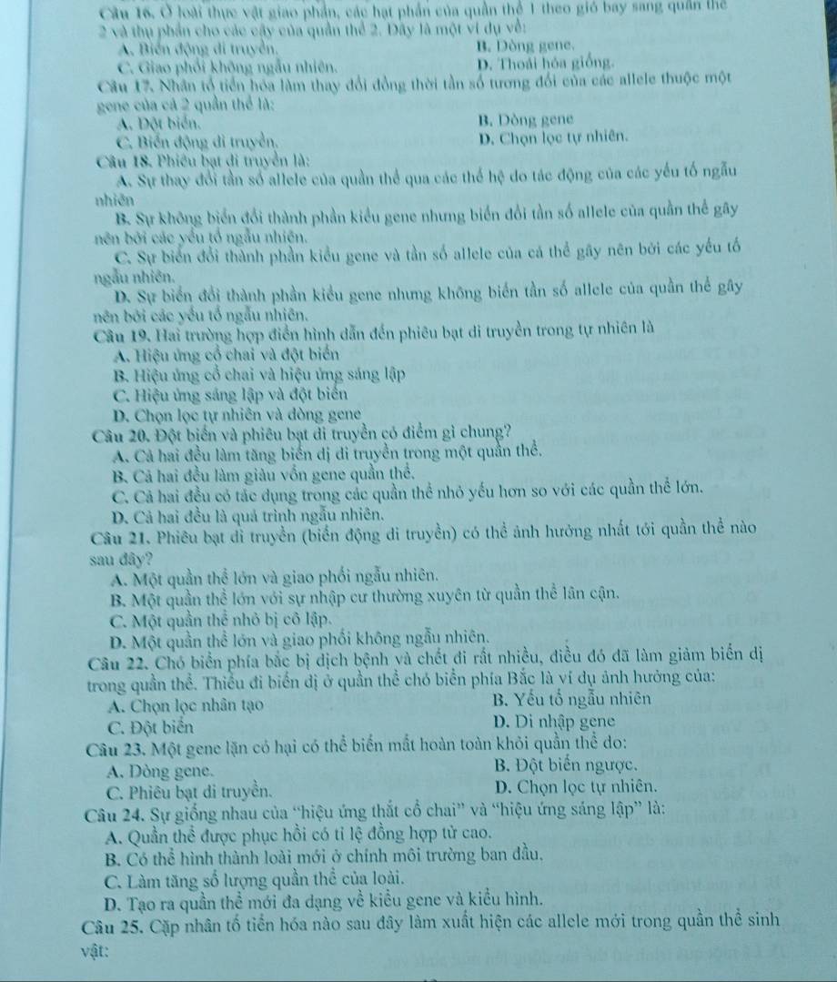 Ở loài thực vật giao phần, các hạt phần của quần thể 1 theo gió bay sang quần thể
2 và thụ phần cho các cậy của quản thể 2. Đãy là một vi dụ về:
A. Biển động di truyền, B. Dòng gene.
C. Giao phối không ngẫu nhiên. D. Thoái hóa giống.
Câu 17. Nhân tổ tiền hóa làm thay đổi đồng thời tần số tương đối của các allele thuộc một
gene của cả 2 quần thể là:
A. Đột biển. B. Dòng gene
C. Biến động di truyền. D. Chọn lọc tự nhiên.
Câu 18. Phiêu bạt di truyền là:
A. Sự thay đổi tần số allele của quần thể qua các thể hệ do tác động của các yếu tố ngẫu
nhiên
B. Sự không biển đổi thành phần kiểu gene nhưng biến đổi tần số allele của quần thể gây
nên bởi các yếu tổ ngẫu nhiên.
C. Sự biển đổi thành phần kiểu gene và tần số allele của cá thể gây nên bởi các yếu tố
ngẫu nhiên.
D. Sự biển đổi thành phần kiểu gene nhưng không biến tần số allele của quần thể gây
nên bởi các yếu tổ ngẫu nhiên.
Câu 19. Hai trường hợp điển hình dẫn đến phiêu bạt di truyền trong tự nhiên là
A. Hiệu ứng cổ chai và đột biển
B. Hiệu ứng cổ chai và hiệu ứng sáng lập
C. Hiệu ứng sáng lập và đột biến
D. Chọn lọc tự nhiên và dòng gene
Câu 20. Đột biển và phiêu bạt di truyền có điểm gì chung?
A. Cả hai đều làm tăng biển dị di truyền trong một quần thể.
B. Cả hai đều làm giàu vốn gene quần thể.
C. Cả hai đều có tắc dụng trong các quần thể nhỏ yếu hơn so với các quần thể lớn.
D. Cả hai đều là quả trình ngẫu nhiên.
Câu 21. Phiêu bạt đỉ truyền (biển động di truyền) có thể ảnh hưởng nhất tới quần thể nào
sau đây?
A. Một quần thể lớn và giao phối ngẫu nhiên.
B. Một quần thể lớn với sự nhập cư thường xuyên từ quần thể lân cận.
C. Một quần thể nhỏ bị cô lập.
D. Một quần thể lớn và giao phối không ngẫu nhiên.
Câu 22. Chó biển phía bắc bị dịch bệnh và chết đi rất nhiều, điều đó đã làm giảm biến dị
trong quần thể. Thiểu đi biển dị ở quần thể chó biển phía Bắc là ví dụ ảnh hưởng của:
A. Chọn lọc nhân tạo B. Yếu tổ ngẫu nhiên
C. Đột biển D. Di nhập gene
Câu 23. Một gene lặn có hại có thể biến mắt hoàn toàn khỏi quần thể do:
A. Dòng gene. B. Đột biến ngược.
C. Phiêu bạt di truyền. D. Chọn lọc tự nhiên.
Câu 24. Sự giống nhau của “hiệu ứng thắt cổ chai” và “hiệu ứng sáng lập” là:
A. Quần thể được phục hồi có tỉ lệ đồng hợp tử cao.
B. Có thể hình thành loài mới ở chính môi trường ban đầu.
C. Làm tăng số lượng quần thể của loài.
D. Tạo ra quần thể mới đa dạng về kiều gene và kiểu hình.
Câu 25. Cặp nhân tố tiển hóa nào sau đây làm xuất hiện các allele mới trong quần thể sinh
vật: