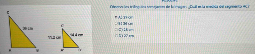 Observa los triángulos semejantes de la imagen. ¿Cuál es la medida del segmento AC?
A) 29 cm
B) 26 cm
C) 28 cm
D) 27 cm