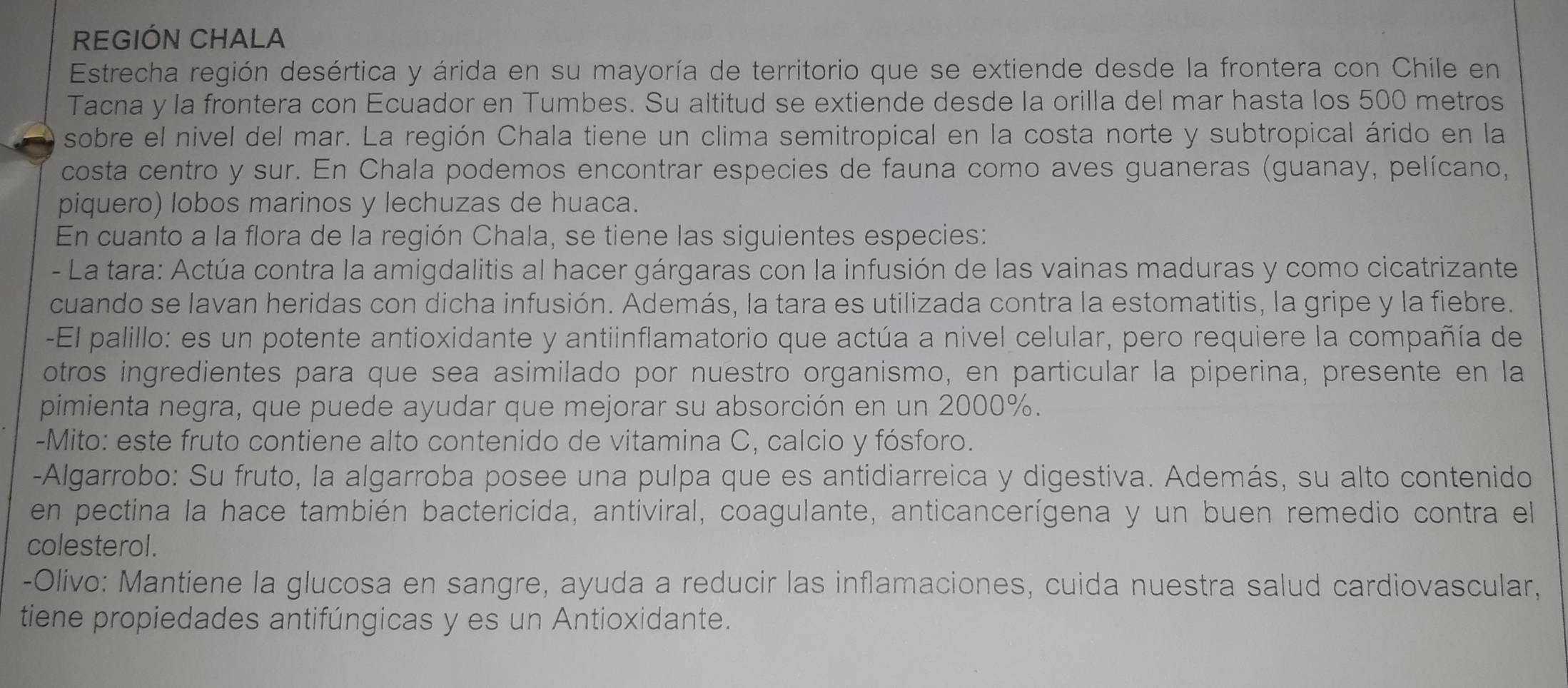 REGIÓN CHALA
Estrecha región desértica y árida en su mayoría de territorio que se extiende desde la frontera con Chile en
Tacna y la frontera con Ecuador en Tumbes. Su altitud se extiende desde la orilla del mar hasta los 500 metros
sobre el nivel del mar. La región Chala tiene un clima semitropical en la costa norte y subtropical árido en la
costa centro y sur. En Chala podemos encontrar especies de fauna como aves guaneras (guanay, pelícano,
piquero) lobos marinos y lechuzas de huaca.
En cuanto a la flora de la región Chala, se tiene las siguientes especies:
- La tara: Actúa contra la amigdalitis al hacer gárgaras con la infusión de las vainas maduras y como cicatrizante
cuando se lavan heridas con dicha infusión. Además, la tara es utilizada contra la estomatitis, la gripe y la fiebre.
-El palillo: es un potente antioxidante y antiinflamatorio que actúa a nivel celular, pero requiere la compañía de
otros ingredientes para que sea asimilado por nuestro organismo, en particular la piperina, presente en la
pimienta negra, que puede ayudar que mejorar su absorción en un 2000%.
-Mito: este fruto contiene alto contenido de vitamina C, calcio y fósforo.
-Algarrobo: Su fruto, la algarroba posee una pulpa que es antidiarreica y digestiva. Además, su alto contenido
en pectina la hace también bactericida, antiviral, coagulante, anticancerígena y un buen remedio contra el
colesterol.
-Olivo: Mantiene la glucosa en sangre, ayuda a reducir las inflamaciones, cuida nuestra salud cardiovascular,
tiene propiedades antifúngicas y es un Antioxidante.