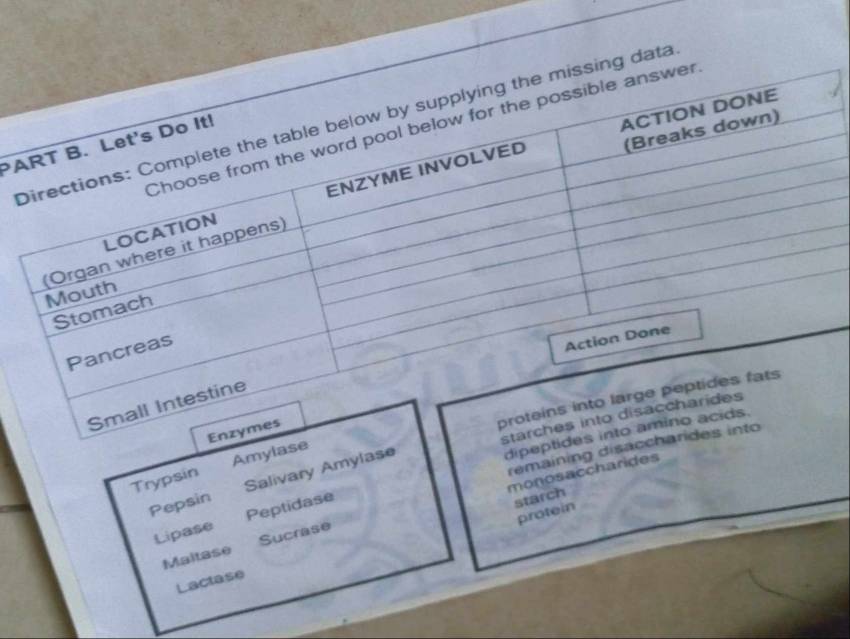 data 
PA 
pr 
S 
starches i 
Enzymes 
dipeptides into amin 
remaining disaccharides into 
Trypsin Amylase 
monosaccharides 
Pepsin Salivary Amylase 
Lipase Peptidase 
starch 
protein 
Maltase Sucrase 
Lactase