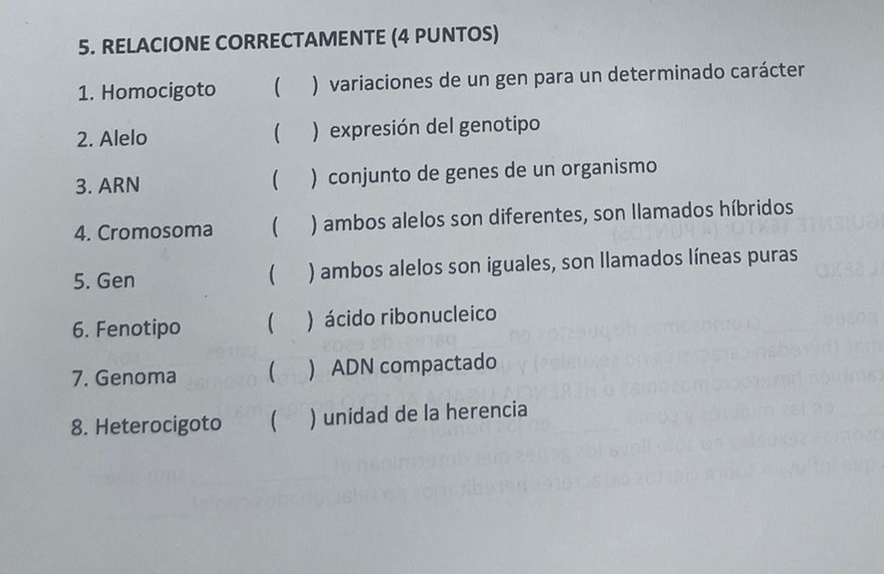 Resuelto:RELACIONE CORRECTAMENTE (4 PUNTOS) 1. Homocigoto ) variaciones ...