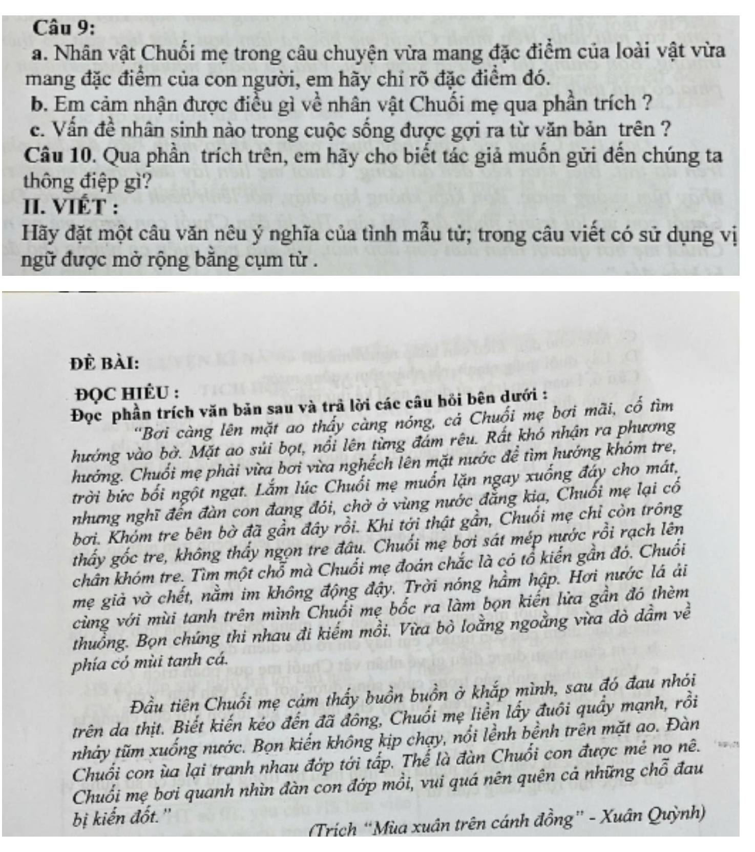 Nhân vật Chuối mẹ trong câu chuyện vừa mang đặc điểm của loài vật vừa
mang đặc điểm của con người, em hãy chỉ rõ đặc điểm đó.
b. Em cảm nhận được điều gì về nhân vật Chuối mẹ qua phần trích ?
c. Vấn đề nhân sinh nào trong cuộc sống được gợi ra từ văn bản trên ?
Câu 10. Qua phần trích trên, em hãy cho biết tác giả muốn gửi đến chúng ta
thông điệp gì?
I. VIÉT :
Hãy đặt một câu văn nêu ý nghĩa của tình mẫu tử; trong câu viết có sử dụng vị
ngữ được mở rộng bằng cụm từ .
Đè Bài:
ĐQC HIÊU :
Đọc phần trích văn bản sau và trả lời các câu hồi bên dưới :
'Bơi càng lên mặt ao thấy càng nóng, cả Chuối mẹ bơi mãi, cố tìm
hưởng vào bờ. Mặt ao sủi bọt, nổi lên từng đám rêu. Rất khó nhận ra phương
hướng. Chuối mẹ phải vừa bơi vừa nghếch lên mặt nước để tìm hướng khóm tre,
trời bức bối ngột ngạt. Lắm lúc Chuối mẹ muốn lặn ngay xuống đáy cho mát,
nhưng nghĩ đến đàn con đang đói, chở ở vùng nước đẳng kia, Chuối mẹ lại cổ
bơi. Khóm tre bên bờ đã gần đây rồi. Khi tới thật gần, Chuối mẹ chỉ còn trông
thấy gốc tre, không thấy ngọn tre đâu. Chuối mẹ bơi sát mép nước rồi rạch lên
chân khóm tre. Tìm một chỗ mà Chuối mẹ đoán chắc là có tổ kiến gần đó. Chuối
mẹ giả vờ chết, nằm im không động đậy. Trời nóng hầm hập. Hơi nước lá ải
cùng với mùi tanh trên mình Chuối mẹ bốc ra làm bọn kiến lửa gần đó thèm
thuồng. Bọn chúng thi nhau đi kiếm mồi. Vừa bò loằng ngoằng vừa dò dầm về
phía có mùi tanh cá.
Đầu tiên Chuối mẹ cảm thấy buồn buồn ở khắp mình, sau đó đau nhói
trên da thịt. Biết kiến kéo đến đã đông, Chuối mẹ liền lấy đuôi quầy mạnh, rồi
nhảy tũm xuống nước. Bọn kiến không kịp chạy, nổi lềnh bềnh trên mặt ao. Đàn
Chuối con ùa lại tranh nhau đớp tới tấp. Thể là đàn Chuối con được mẻ no nê.
Chuối mẹ bơi quanh nhìn đàn con đớp mồi, vui quá nên quên cả những chỗ đau
bị kiến đốt.'
(Trích “Mùa xuân trên cánh đồng” - Xuân Quỳnh)