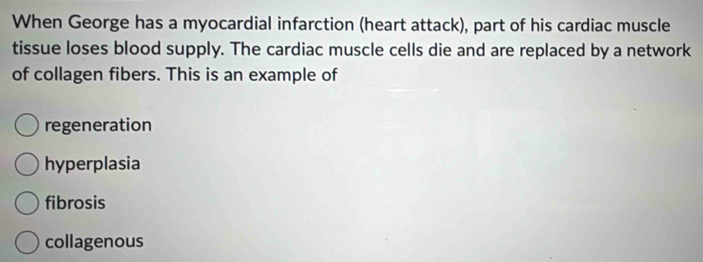 When George has a myocardial infarction (heart attack), part of his cardiac muscle
tissue loses blood supply. The cardiac muscle cells die and are replaced by a network
of collagen fibers. This is an example of
regeneration
hyperplasia
fibrosis
collagenous