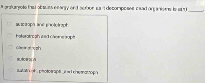 A prokaryote that obtains energy and carbon as it decomposes dead organisms is a(n) _.
autotroph and phototroph
heterotroph and chemotroph
chemotroph
autotroph
autotroph, phototroph, and chemotroph