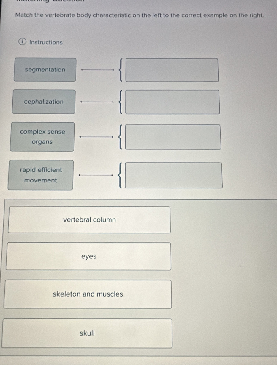 Match the vertebrate body characteristic on the left to the correct example on the right.
i Instructions
segmentation
cephalization
complex sense
organs
rapid efficient
movement
vertebral column
eyes
skeleton and muscles
skull