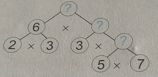 6 ×
2)* (3 )(3)*
5)* ( 7