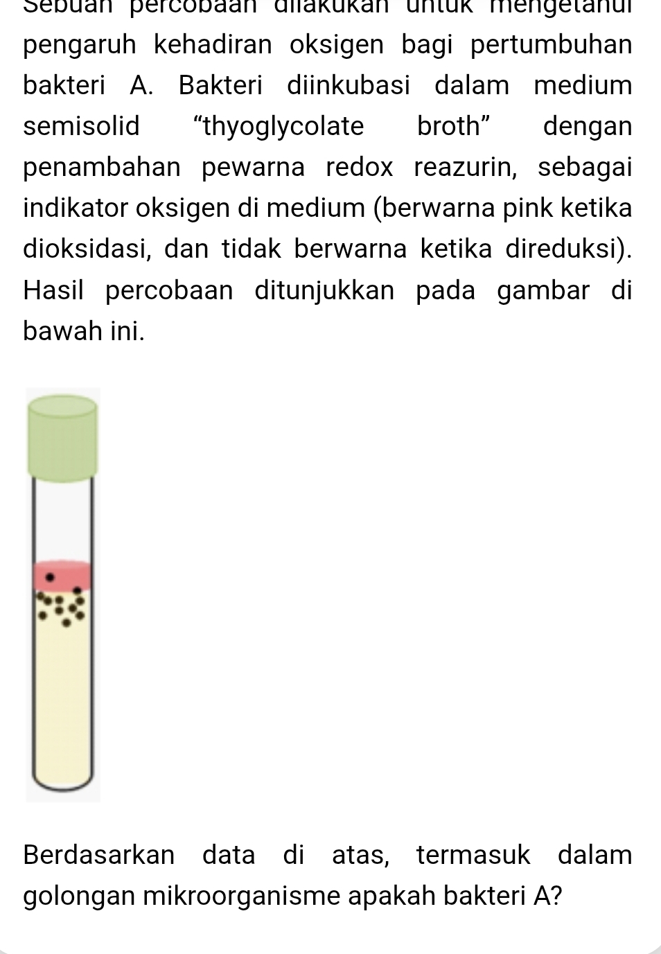 Sebuan percobaan dilakukan untük mengetanul 
pengaruh kehadiran oksigen bagi pertumbuhan 
bakteri A. Bakteri diinkubasi dalam medium 
semisolid “thyoglycolate broth” dengan 
penambahan pewarna redox reazurin, sebagai 
indikator oksigen di medium (berwarna pink ketika 
dioksidasi, dan tidak berwarna ketika direduksi). 
Hasil percobaan ditunjukkan pada gambar di 
bawah ini. 
Berdasarkan data di atas, termasuk dalam 
golongan mikroorganisme apakah bakteri A?