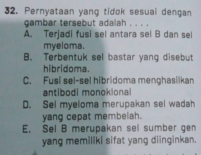 Pernyataan yang tidak sesuai dengan
gambar tersebut adalah . . . .
A. Terjadi fusi sel antara sel B dan sel
myeloma.
B. Terbentuk sel bastar yang disebut
hibridoma.
C. Fusi sel-sel hibridoma menghasilkan
antibodi monoklonal
D. Sel myeloma merupakan sel wadah
yang cepat membelah.
E. Sel B merupakan sel sumber gen
yang memiliki sifat yang diinginkan.