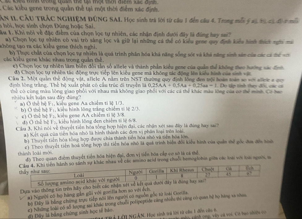 Các kiểu kình trong quan thể tại một thời điểm xãc định.
:  Các kiểu gene trong quần thể tại một thời điểm xác định.
ÂN II. CầU TRÁC NGHIỆM ĐÚNG SAI. Học sinh trả lời từ câu 1 đến câu 4. Trong mễu 6 : a_ 1,a_  D r nỗ
h hỏi, học sinh chọn Đúng hoặc Saí.
Su 1. Khi nói về đặc điểm của chọn lọc tự nhiên, các nhận định dưới đây là đứng hay sai?
a) Chọn lọc tự nhiên có vai trò sàng lọc và giữ lại những cá thể có kiểu gene quy địn kiểu hình thích n ma
không tạo ra các kiểu gene thích nghi.
b) Thực chất của chọn lọc tự nhiên là quá trình phân hóa khả năng sống sót và khả năng sinh sảm của các có tể vơn
các kiểu gene khác nhau trong quần thể.
c) Chọn lọc tự nhiên làm biến đổi tần số allele và thành phần kiểu gene của quần thể không theo hường xắc đinh.
d) Chọn lọc tự nhiên tác động trực tiếp lên kiều gene mà không tác động lên kiểu hình của sinh vin
Cầu 2. Một quần thể động vật, allele A nằm trên NST thường quy định lồng đen trội hoám trăm so ven allcie a quy
định lông trắng. Thế hệ xuất phát có cấu trúc di truyền là 0,25AA+0,5Aa+0,25aa=1. Do tập tính thy 45° các cá
thể có cùng màu lông giao phối với nhau mà không giao phối với các cá thể khác màu lỡng của cơ the mình. Có hac
nhiêu kết luận sau đây đúng?
a) Ở thế hệ F_1 , kiểu gene Aa chiếm ti lệ 1/3.
b) Ở thế hệ F_1 , kiểu hình lông trắng chiếm ti lệ 2/3.
c) Ở thế hệ F_2 , kiểu gene AA chiếm ti lệ 3/8.
d) Ở thế hệ F_2 , kiểu hình lông đen chiếm ti lệ 6/8.
Câu 3. Khi nói về thuyết tiến hóa tổng hợp hiện đại, các nhận xét sau đây là đúng hay sai?
a) Kết quả của tiến hóa nhỏ là hình thành các đơn vị phân loại trên loài.
b) Thuyết tiến hóa tổng hợp được chia thành tiến hóa nhỏ và tiền hóa lớn.
c) Theo thuyết tiến hoá tổng hợp thì tiến hóa nhỏ là quá trình biến đổi kiểu hình của quản thể gốc đua đến hình
thành loài mới.
d) Theo quan điểm thuyết tiến hóa hiện đại, đơn vị tiến hóa cấp cơ sở là cá thể.
nhau về các amino acid trong chuỗi hemoglobin giữa các loài với loài người m
Dựa vào thông tin trên hãy cho biết các nhận xét v
a) Người có họ hàng gần gũi với gorilla hơn so với ếch.
b) Đây là bằng chứng trực tiếp nói lên người có nguồn gốc từ loài Gorilla.
c) Những loài có số lượng sai khác trong chuỗi polipeptide càng nhiều thì càng có quan hệ họ hàng xa nhaw
đ) Đây là bằng chứng sinh học tế bào.
Trả Lời NGÂN. Học sinh trả lời từ cầu 1 đến câu 6.
*  à o ,  ánh ong, vây cá voi. Có bao nhiều co