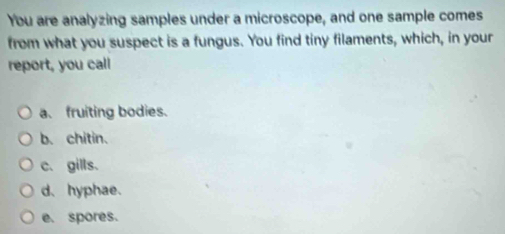 You are analyzing samples under a microscope, and one sample comes
from what you suspect is a fungus. You find tiny filaments, which, in your
report, you call
a. fruiting bodies.
b. chitin.
c. gills.
d、hyphae.
e. spores.