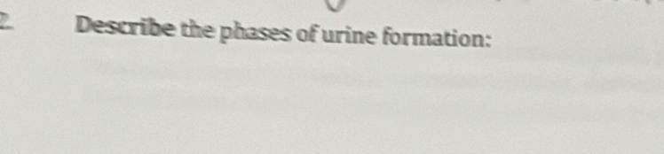 Describe the phases of urine formation: