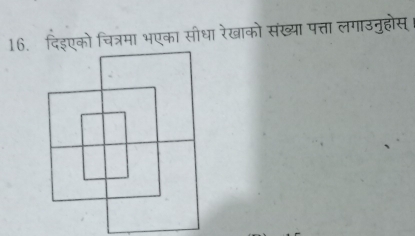 दिइएको चित्रमा भएका सीधा रेखाको संख्या पत्ता लगाउनुहोस्।