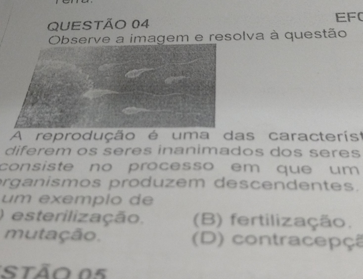 EF0
Observe a imagem e resolva à questão
A reprodução é uma das característ
diferem os seres inanimados dos seres
consiste no processo em que um 
rganismos produzem descendentes.
um exemplo de
) esterilização. (B) fertilização.
mutação. (D) contracepçã
StÃo 05