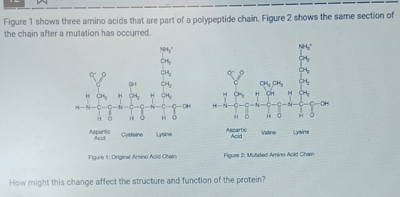 Solved: Figure 1 shows three amino acids that are part of a polypeptide ...