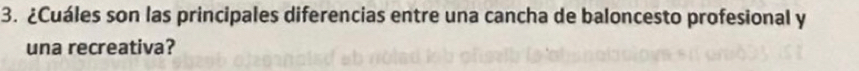 ¿Cuáles son las principales diferencias entre una cancha de baloncesto profesional y 
una recreativa?