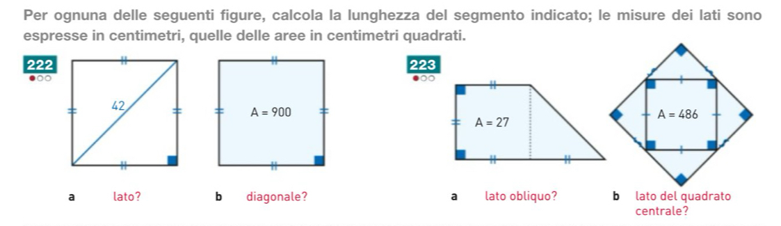 Per ognuna delle seguenti figure, calcola la lunghezza del segmento indicato; le misure dei lati sono
espresse in centimetri, quelle delle aree in centimetri quadrati.
222223
●∞●○○
a lato? b diagonale? a lato obliquo? b lato del quadrato
centrale?