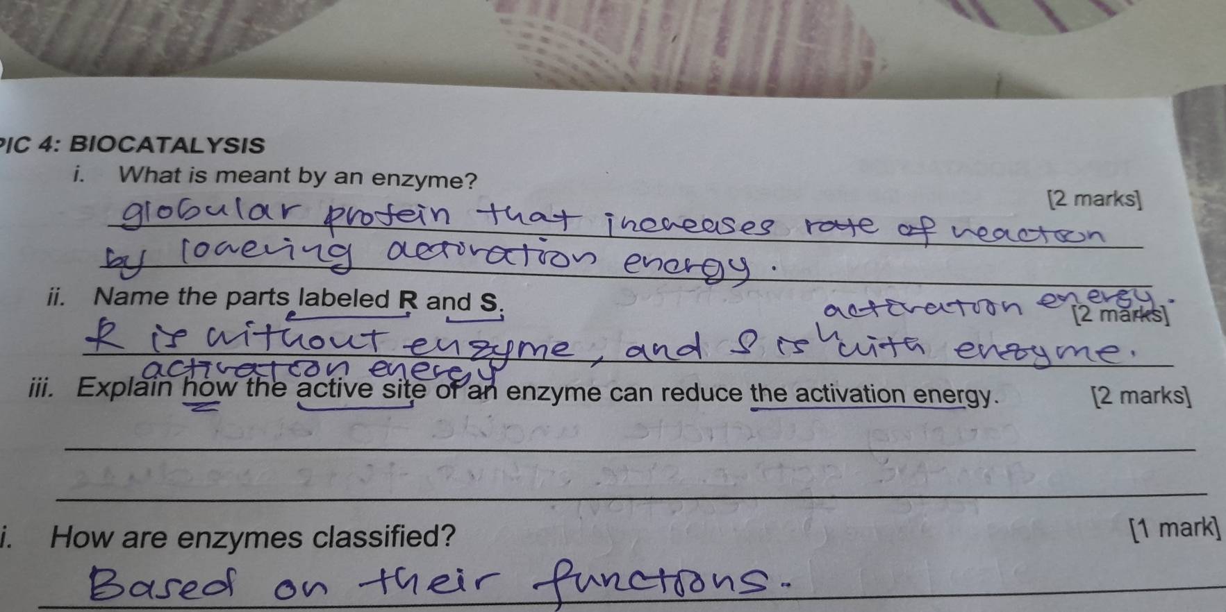 PIC 4: BIOCATALYSIS 
i. What is meant by an enzyme? 
_ 
[2 marks] 
_ 
ii. Name the parts labeled R and S. 
2 marks 
_ 
iii. Explain how the active site of an enzyme can reduce the activation energy. [2 marks] 
_ 
_ 
i. How are enzymes classified? [1 mark] 
_ 
_