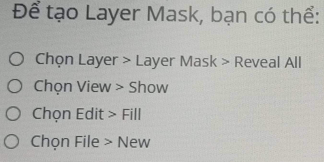 Để tạo Layer Mask, bạn có thể: 
Chọn Layer > Layer Mask > Reveal All 
Chọn View > Show 
Chọn Edit > Fill 
Chọn File > New