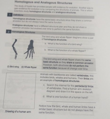 Homologous and Analogous Structures 
The situdy of fossits has provided people with evidence for evolution. Another way to 
gain evidence for evolution is by comparing the structures of animals. This is where 
scienitists study homologous structures and analogous structures. 
Definitions 
Homologous structures have the same basic structure since they share a common 
ancestor but do not always have the same function. 
Analogous structures have a different structural plan and they do not share a 
common ancestor but evolved over time to perform the same function. 
= Hamologous Structures 
The bird wing and whale flipper diagrams show a pair 
of homologous structures. 
a. What is the function of a bird wing? 
_ 
b. What is the function of a whale flipper? 
_ 
The bird wing and whale flipper share the same 
basic structure as they share a common ancestor. 
However, both structures do not perform the 
(i) Bird wing (ii) Whale flipper same function because of change over time. 
Animals with backbones are called vertebrates, this 
includes birds, whales and humans. Their limbs are 
an example of homologous structures. 
c. Search the internet for the pentadactyl limbs 
of vertebrates. Find a human arm skeleton 
diagram and draw it in the space on the left. 
d. What is one function of a human hand? 
_ 
Notice how the bird, whale and human limbs have a 
similar basic structure but do not always have the 
Drawing of a human arm same function.