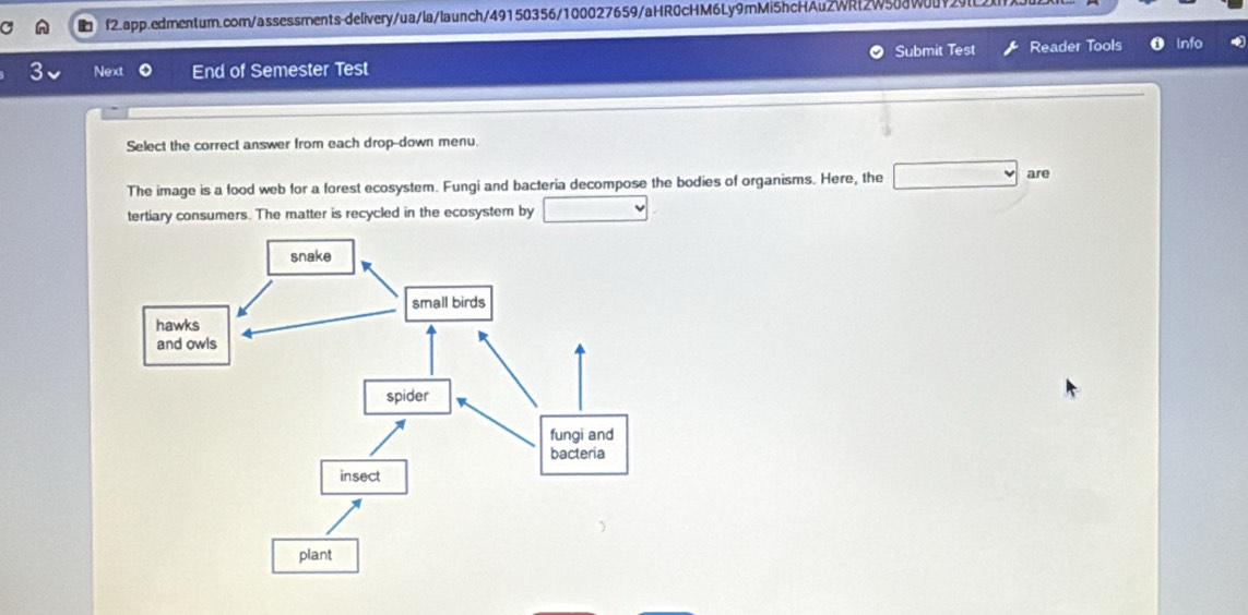 Submit Test Reader Tools ❶ Info 
3 Next End of Semester Test 
Select the correct answer from each drop-down menu. 
The image is a food web for a forest ecosystem. Fungi and bacteria decompose the bodies of organisms. Here, the □ are 
tertiary consumers. The matter is recycled in the ecosystem by ∴ △ ADE_2°