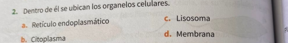 Dentro de él se ubican los organelos celulares. 
a. Retículo endoplasmático 
c. Lisosoma 
d. Membrana 
b. Citoplasma