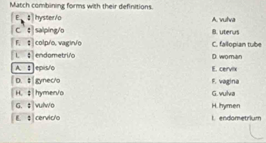 Match combining forms with their definitions.
E hyster/o A. vulva
C. ; salping/o B. uterus
F、 ； colp/o, vagin/o C, fallopian tube
I. endometri/o D. woman
A. ↓ epis/o E. cervix
D. ‡ gynec/o F. vagina
H. $ hymen/o G. vulva
G. $vulv /o H. hymen
E. $ cervic/o l endometrium