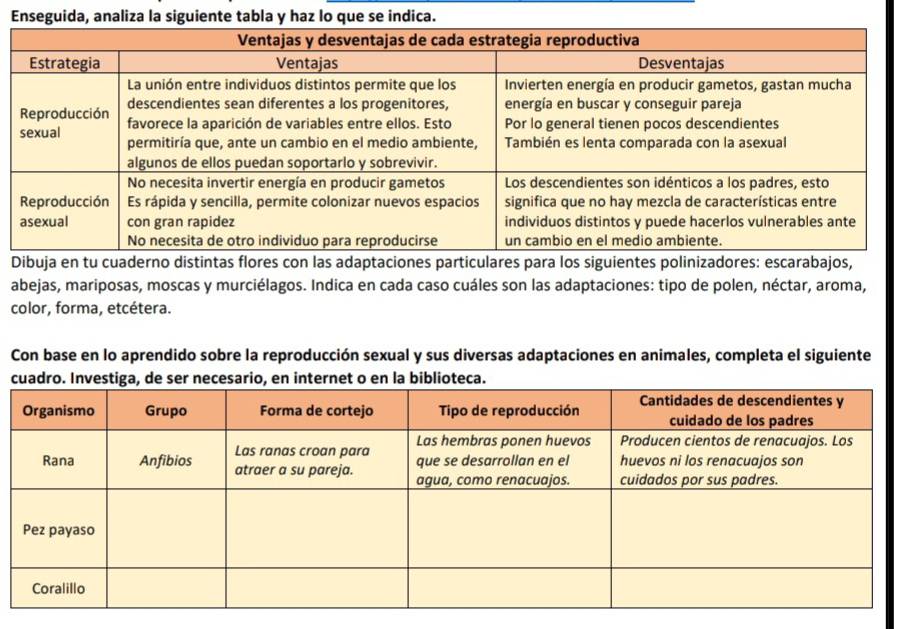 Enseguida, analiza la siguiente tabla y haz lo que se indica. 
Dibuja en tu cuaderno distintas flores con las adaptaciones particulares para los siguientes polinizadores: escarabajos, 
abejas, mariposas, moscas y murciélagos. Indica en cada caso cuáles son las adaptaciones: tipo de polen, néctar, aroma, 
color, forma, etcétera. 
Con base en lo aprendido sobre la reproducción sexual y sus diversas adaptaciones en animales, completa el siguiente