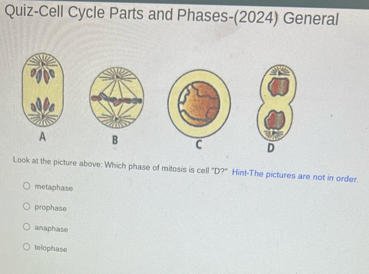 Quiz-Cell Cycle Parts and Phases-(2024) General
A
B
C
D
Look at the picture above: Which phase of mitosis is cell 'D?'' Hint-The pictures are not in order.
metaphase
prophase
anaphase
telophase