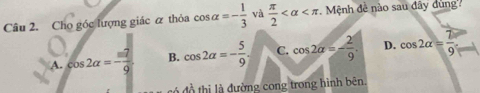 Cho góc lượng giác ữ thỏa cos alpha =- 1/3  và  π /2  . Mệnh đề nào sau đây dùng'
A. cos 2alpha =- π^2/9  B. cos 2alpha =- 5/9  C. cos 2alpha =- 2/9 . D. cos 2alpha =frac 79° 
đồ thị là đường cong trong hình bên