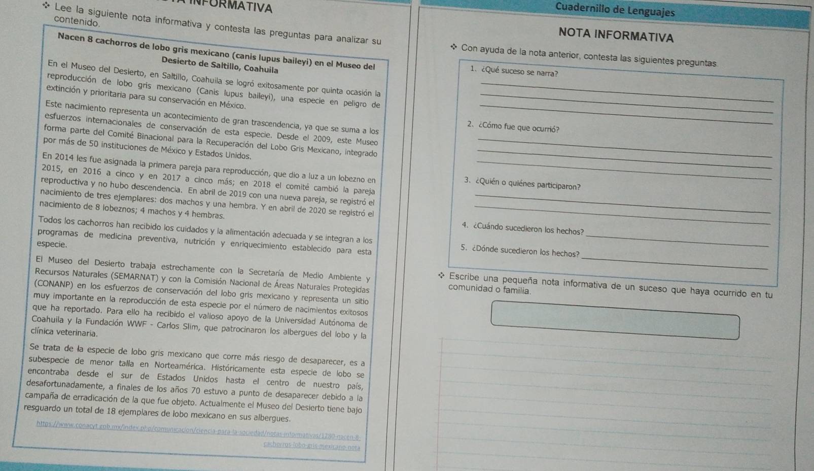 INFURMATIVA
Cuadernillo de Lenguajes
contenido.
* Lee la siguiente nota informativa y contesta las preguntas para analizar su
NOTA INFORMATIVA
* Con ayuda de la nota anterior, contesta las siguientes preguntas
Nacen 8 cachorros de lobo gris mexicano (canis lupus baileyi) en el Museo del 1. ¿Qué suceso se narra?
Desierto de Saltillo, Coahuila
En el Museo del Desierto, en Saltillo, Coahuila se logró exitosamente por quinta ocasión la
reproducción de lobo gris mexicano (Canis lupus baileyi), una especie en peligro de__
extinción y prioritaria para su conservación en México.
Este nacimiento representa un acontecimiento de gran trascendencia, ya que se suma a los_
2. ¿Cómo fue que ocurrió?
_
esfuerzos internacionales de conservación de esta especie. Desde el 2009, este Museo
forma parte del Comité Binacional para la Recuperación del Lobo Gris Mexicano, integrado_
por más de 50 instituciones de México y Estados Unidos.
En 2014 les fue asignada la primera pareja para reproducción, que dio a luz a un lobezno en_
2015, en 2016 a cinco y en 2017 a cinco más; en 2018 el comité cambió la pareja
3. ¿Quién o quiénes participaron?
reproductiva y no hubo descendencia. En abril de 2019 con una nueva pareja, se registró el
nacimiento de 8 lobeznos; 4 machos y 4 hembras.
nacimiento de tres ejemplares: dos machos y una hembra. Y en abril de 2020 se registró el 4. Cuándo sucedieron los hechos?
_
Todos los cachorros han recibido los cuidados y la alimentación adecuada y se integran a los 5. ¿Dónde sucedieron los hechos?_
programas de medicina preventiva, nutrición y enriquecimiento establecido para esta
especie.
El Museo del Desierto trabaja estrechamente con la Secretaría de Medio Ambiente y comunidad o familia.
Recursos Naturales (SEMARNAT) y con la Comisión Nacional de Áreas Naturales Protegidas
* Escribe una pequeña nota informativa de un suceso que haya ocurrido en tu
(CONANP) en los esfuerzos de conservación del lobo gris mexicano y representa un sitio
muy importante en la reproducción de esta especie por el número de nacimientos exitosos
que ha reportado. Para ello ha recibido el valioso apoyo de la Universidad Autónoma de
Coahuila y la Fundación WWF - Carlos Slim, que patrocinaron los albergues del lobo y la
clínica veterinaria.
Se trata de la especie de lobo gris mexicano que corre más riesgo de desaparecer, es a
subespecie de menor talla en Norteamérica. Históricamente esta especie de lobo se
encontraba desde el sur de Estados Unidos hasta el centro de nuestro país,
desafortunadamente, a finales de los años 70 estuvo a punto de desaparecer debido a la
campaña de erradicación de la que fue objeto. Actualmente el Museo del Desierto tiene bajo
resguardo un total de 18 ejemplares de lobo mexicano en sus albergues.
https://www.conacyt.gpb.mx/index.php/comunicacion/ciencia-para-la-sociedad/notas-informativas/1280-nacen-8-
c  h oros lo bo gis m   i