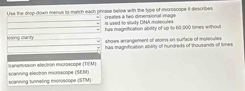 Use the drop-down menus to match each phrase below with the type of microscope it describes
creates a two dimensional image
is used to study DNA molecules
has magnification ability of up to 60,000 times without
losing clarity
shows arrangement of atoms on surface of molecules
has magnification ability of hundreds of thousands of times
transmission electron microscope (TEM)
scanning electron microscope (SEM)
scanning tunneling microscope (STM)