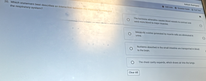 Which statement best describes an interaction belesen the muscuy w e nd
D Guatian tulde
the respiratory system? The hormone adrenaline causes blood ressels to contract and
send more blood to major musctes.
Metabolic wastes gonerated by muscle cells are elimnated in
urine.
Nutrients absorbed in the small intestine ar transported in blood
to the brain.
The chest cavity expands, which draws air into the lungs.
Clear All