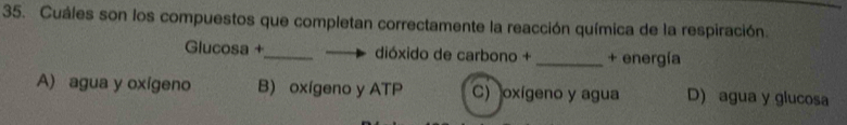 Cuáles son los compuestos que completan correctamente la reacción química de la respiración.
Glucosa +_ dióxido de carbono + _+ energía
A) agua y oxígeno B) oxígeno y ATP C) oxígeno y agua D) agua y glucosa