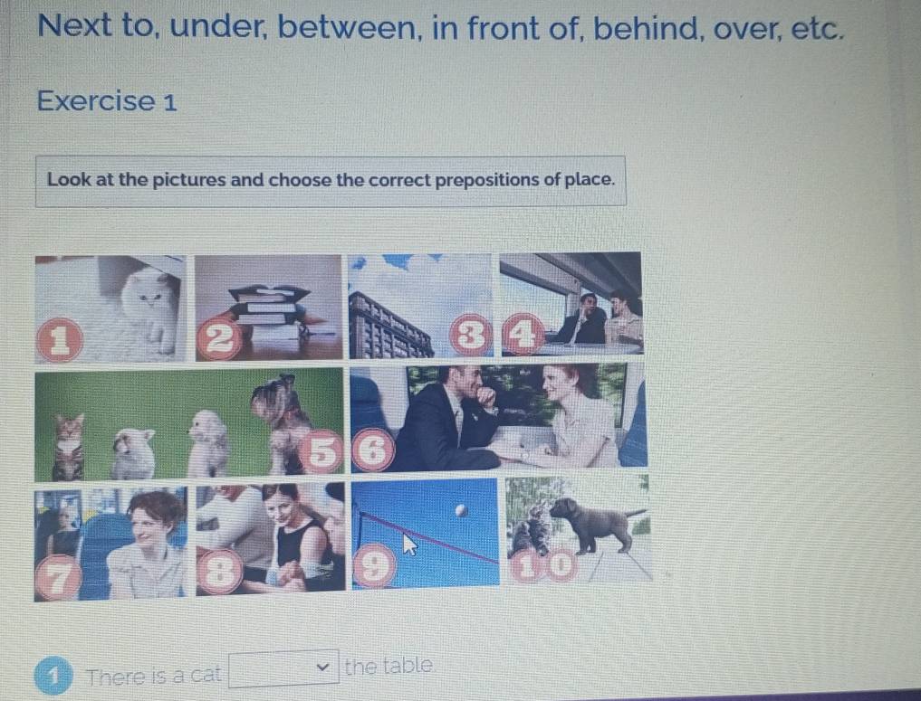 Next to, under, between, in front of, behind, over, etc. 
Exercise 1 
Look at the pictures and choose the correct prepositions of place. 
1 There is a cat the table.