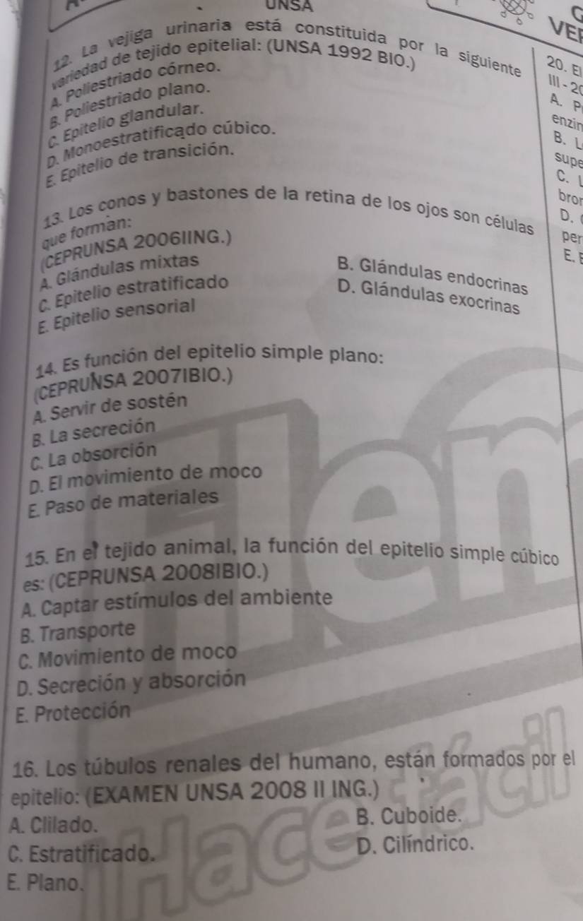 UNSA
C
VEI
12. La vejiga urinaria está constituida por la siguiente
variedad de tejido epitelial: (UNSA 1992 BIO.)
A. Poliestriado córneo.
20. El
8. Poliestriado plano.
Ⅲ - 2
C. Epitelio glandular.
A. P
enzin
B. L
D. Monoestratificado cúbico.
E. Epitelio de transición.
supe
C. I
bror
D.
13. Los conos y bastones de la retina de los ojos son células
que formán:
(CEPRUNSA 2006IING.)
per
A. Glándulas mixtas
E. F
B. Glándulas endocrinas
C. Epitelio estratificado
D. Glándulas exocrinas
E. Epitelio sensorial
14. Es función del epitelio simple plano:
(CEPRUNSA 2007IBIO.)
A. Servir de sostén
B. La secreción
C. La obsorción
D. El movimiento de moco
E. Paso de materiales
15. En el tejido animal, la función del epitelio simple cúbico
es: (CEPRUNSA 2008IBIO.)
A. Captar estímulos del ambiente
B. Transporte
C. Movimiento de moco
D. Secreción y absorción
E. Protección
16. Los túbulos renales del humano, están formados por el
epitelio: (EXAMEN UNSA 2008 II ING.)
A. Clilado. B. Cuboide.
C. Estratificado. D. Cilíndrico.
E. Plano. re