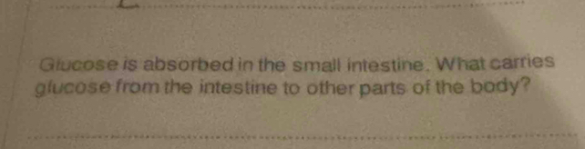 Giucose is absorbed in the small intestine. What carries 
glucose from the intestine to other parts of the body?