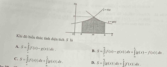 Khi đó biểu thức tính diện tích S là
A. S=∈t^b|f(x)-g(x)|dx.
B. S=∈tlimits [f(x)-g(x)]dx+∈tlimits [g(x)-f(x)]dx.
C. S=∈tlimits^m|f(x)|dx+∈tlimits |g(x)|dx. D. S=∈t |g(x)|dx+∈t |f(x)|dx.