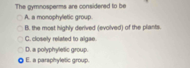 The gymnosperms are considered to be
A. a monophyletic group.
B. the most highly derived (evolved) of the plants.
C. closely related to algae.
D. a polyphyletic group.
E. a paraphyletic group.