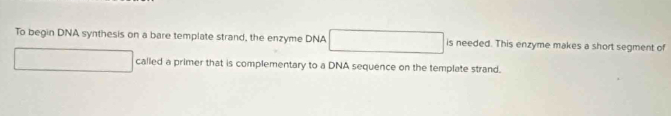 To begin DNA synthesis on a bare template strand, the enzyme DNA is needed. This enzyme makes a short segment of 
called a primer that is complementary to a DNA sequence on the template strand.