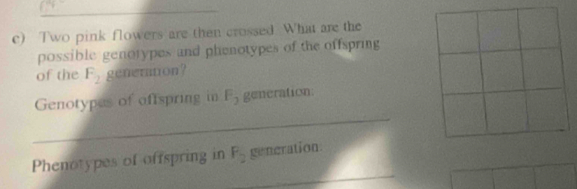 Two pink flowers are then crossed. What are the 
possible genorypes and phenotypes of the offspring 
of the F_2 generation? 
_ 
Genotypes of aftspring in F_2 generation: 
_ 
Phenotypes of offspring in F_2 generation