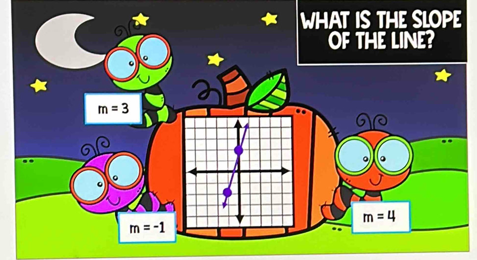 WHAT IS THE SLOPE
OF THE LINE?
m=3
a
C
m=4
m=-1