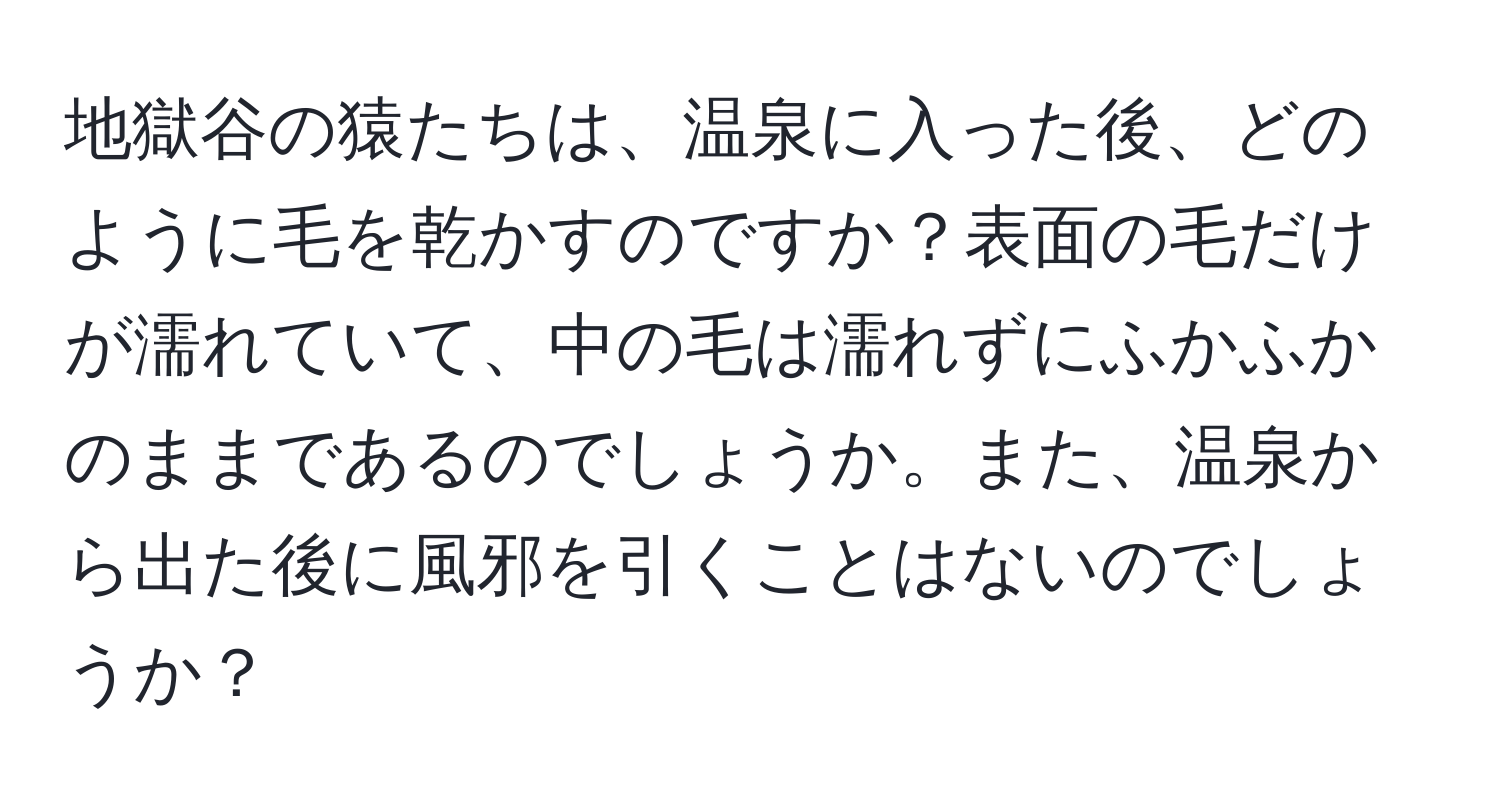 地獄谷の猿たちは、温泉に入った後、どのように毛を乾かすのですか？表面の毛だけが濡れていて、中の毛は濡れずにふかふかのままであるのでしょうか。また、温泉から出た後に風邪を引くことはないのでしょうか？