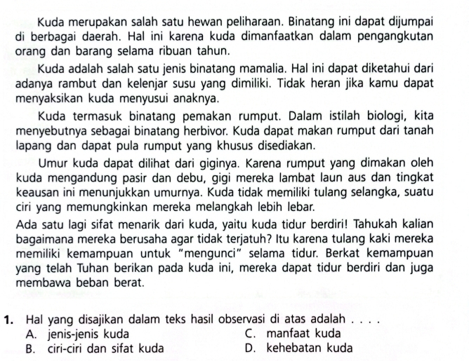 Kuda merupakan salah satu hewan peliharaan. Binatang ini dapat dijumpai
di berbagai daerah. Hal ini karena kuda dimanfaatkan dalam pengangkutan
orang dan barang selama ribuan tahun.
Kuda adalah salah satu jenis binatang mamalia. Hal ini dapat diketahui dari
adanya rambut dan kelenjar susu yang dimiliki. Tidak heran jika kamu dapat
menyaksikan kuda menyusui anaknya.
Kuda termasuk binatang pemakan rumput. Dalam istilah biologi, kita
menyebutnya sebagai binatang herbivor. Kuda dapat makan rumput dari tanah
lapang dan dapat pula rumput yang khusus disediakan.
Umur kuda dapat dilihat dari giginya. Karena rumput yang dimakan oleh
kuda mengandung pasir dan debu, gigi mereka lambat laun aus dan tingkat
keausan ini menunjukkan umurnya. Kuda tidak memiliki tulang selangka, suatu
ciri yang memungkinkan mereka melangkah lebih lebar.
Ada satu lagi sifat menarik dari kuda, yaitu kuda tidur berdiri! Tahukah kalian
bagaimana mereka berusaha agar tidak terjatuh? Itu karena tulang kaki mereka
memiliki kemampuan untuk “mengunci” selama tidur. Berkat kemampuan
yang telah Tuhan berikan pada kuda ini, mereka dapat tidur berdiri dan juga
membawa beban berat.
1. Hal yang disajikan dalam teks hasil observasi di atas adalah . . . .
A. jenis-jenis kuda C. manfaat kuda
B. ciri-ciri dan sifat kuda D. kehebatan kuda