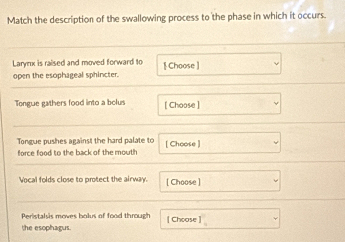 Match the description of the swallowing process to the phase in which it occurs. 
Larynx is raised and moved forward to [ Choose ] 
open the esophageal sphincter. 
Tongue gathers food into a bolus [ Choose ] 
Tongue pushes against the hard palate to [ Choose ] 
force food to the back of the mouth 
Vocal folds close to protect the airway. [ Choose ] 
Peristalsis moves bolus of food through [ Choose ] 
the esophagus.