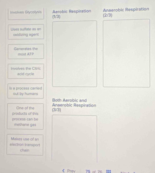 Involves Glycolysis Aerobic Respiration Anaerobic Respiration
(1/3) (2/3)
Uses sulfate as an 
oxidizing agent 
Generates the 
most ATP 
Involves the Citric 
acid cycle 
Is a process carried 
out by humans 
Both Aerobic and 
Anaerobic Respiration 
One of the (3/3)
products of this 
process can be 
methane gas 
Makes use of an 
electron transport 
chain 
Prev 75 of 76