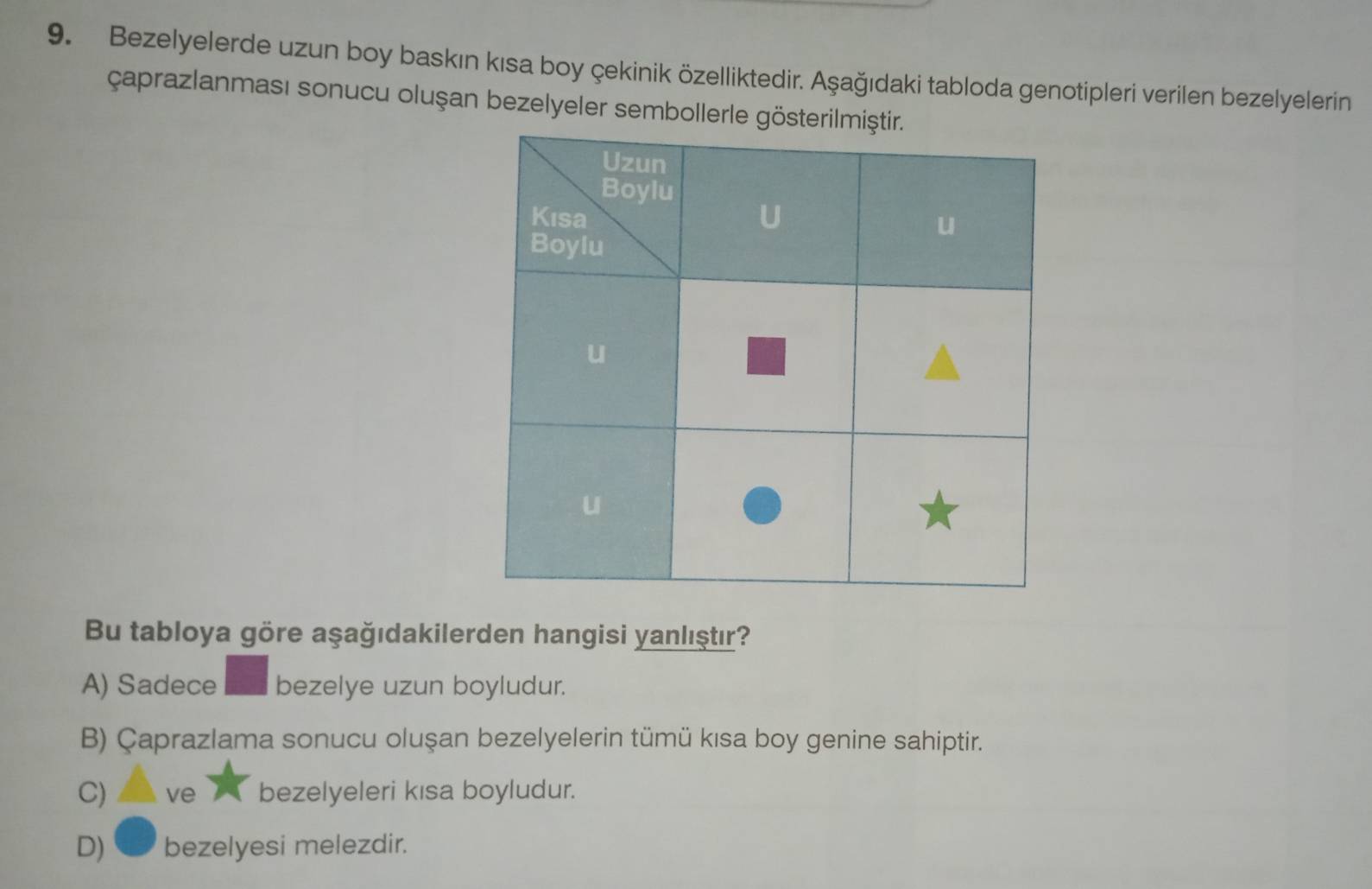 Bezelyelerde uzun boy baskın kısa boy çekinik özelliktedir. Aşağıdaki tabloda genotipleri verilen bezelyelerin
çaprazlanması sonucu oluşan bezelyeler sembollerle gös
Bu tabloya göre aşağıdakilerden hangisi yanlıştı?
A) Sadece bezelye uzun boyludur.
B) Çaprazlama sonucu oluşan bezelyelerin tümü kısa boy genine sahiptir.
C) ve bezelyeleri kısa boyludur.
D) bezelyesi melezdir.