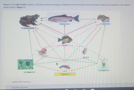 trophic level in Figure 3? Based on the rulle of 10%, if there is 185,650 Calories of enrergy is available at the Arst trophic level, how many Calories are available at the highest
1.056,500 Caléries
18,565 Calories