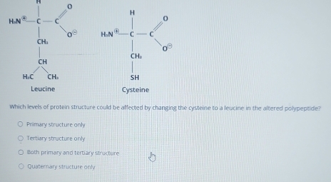 Solved: Which levels of protein structure could be affected by changing ...